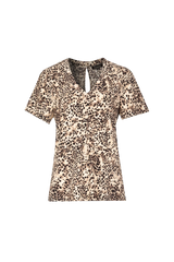 Sand/Sahara