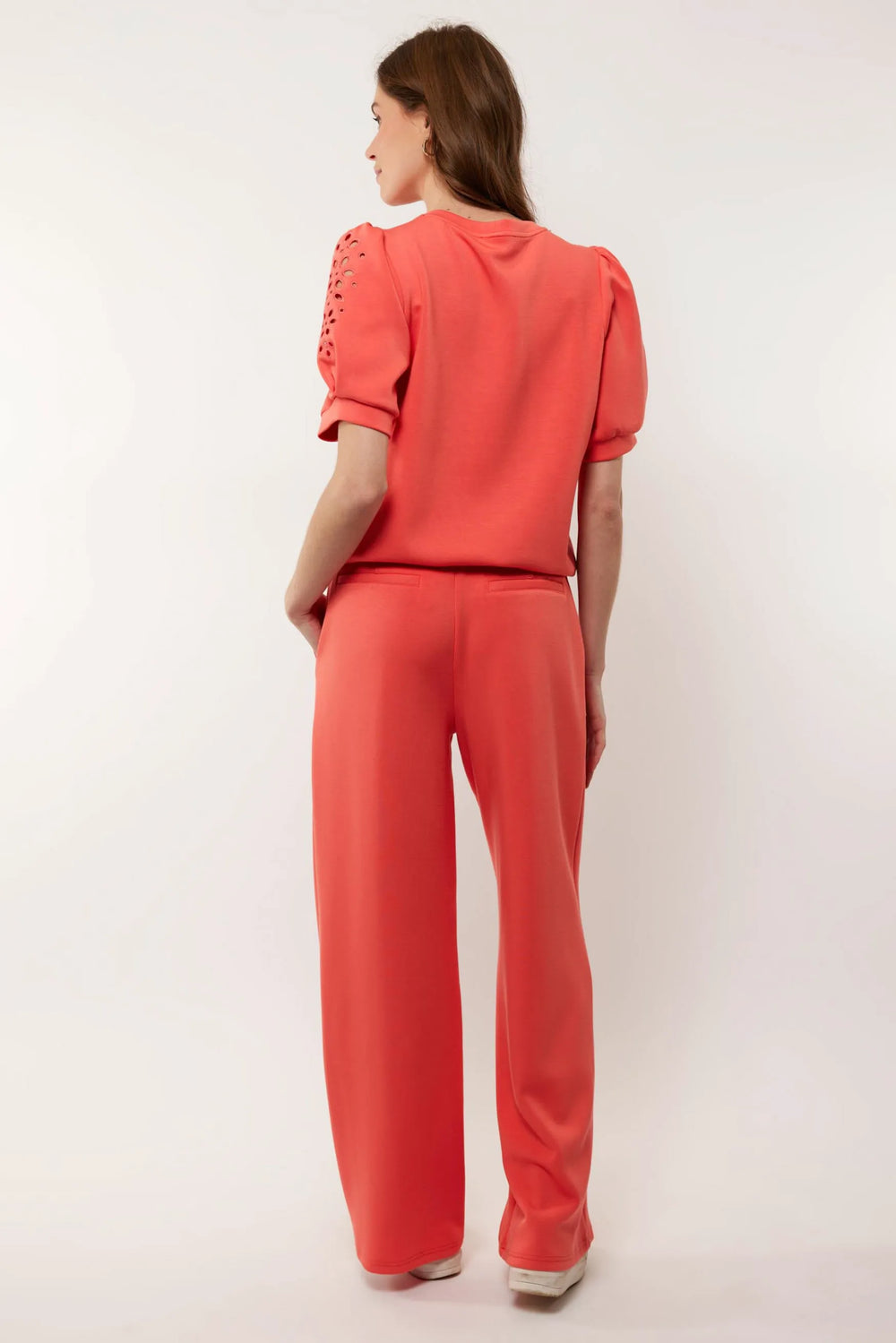 Bright Coral