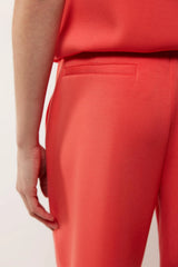 Bright Coral
