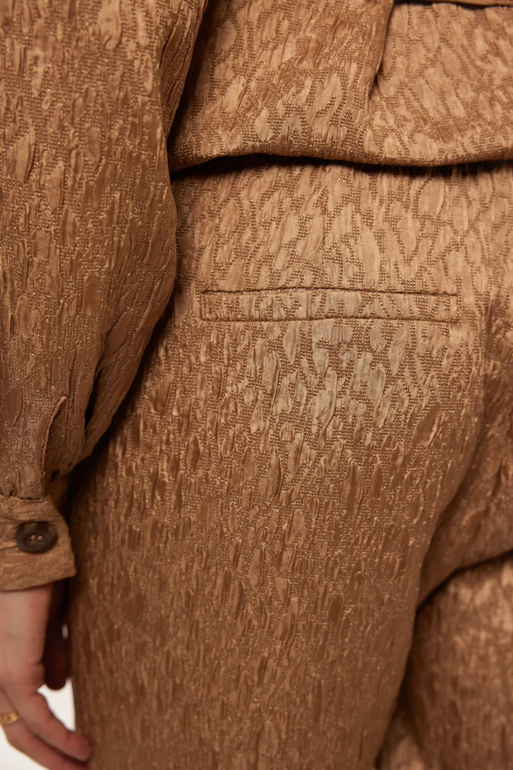Hot Camel