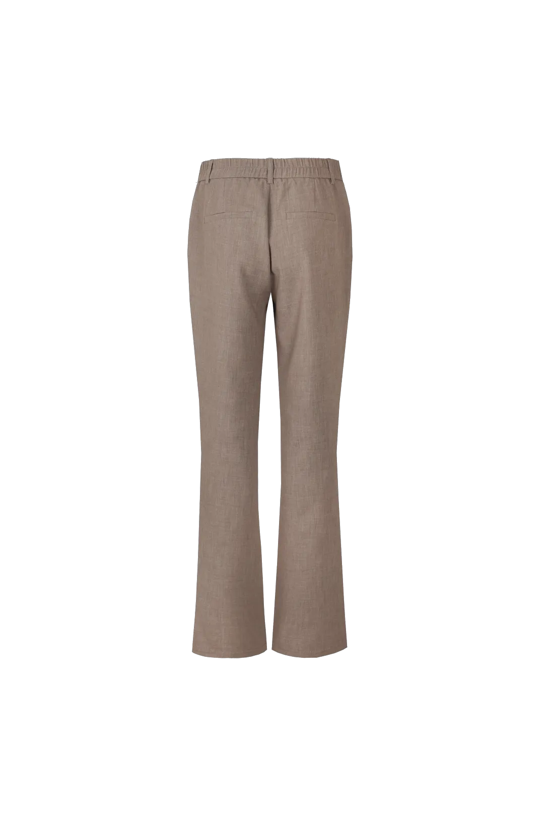Sahara