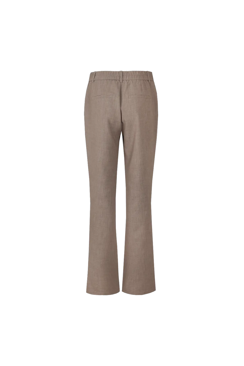 Sahara