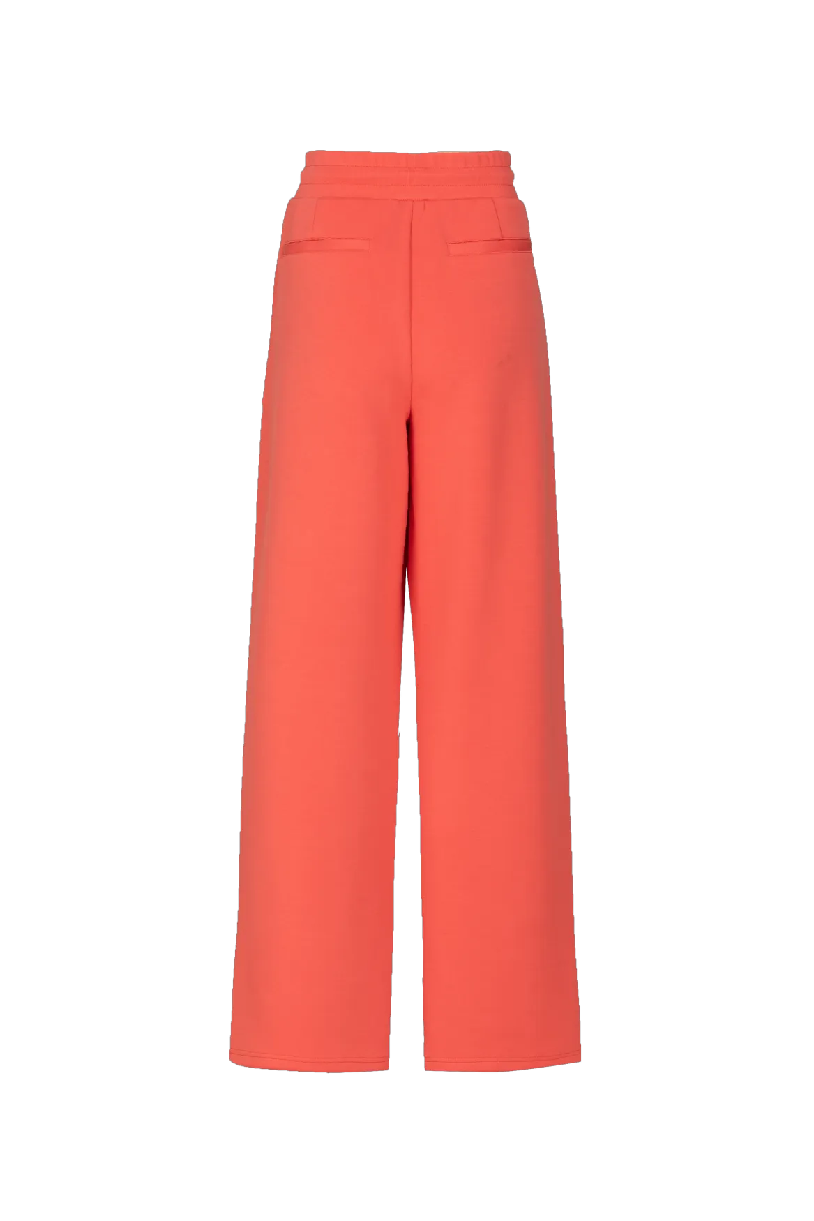 Bright Coral