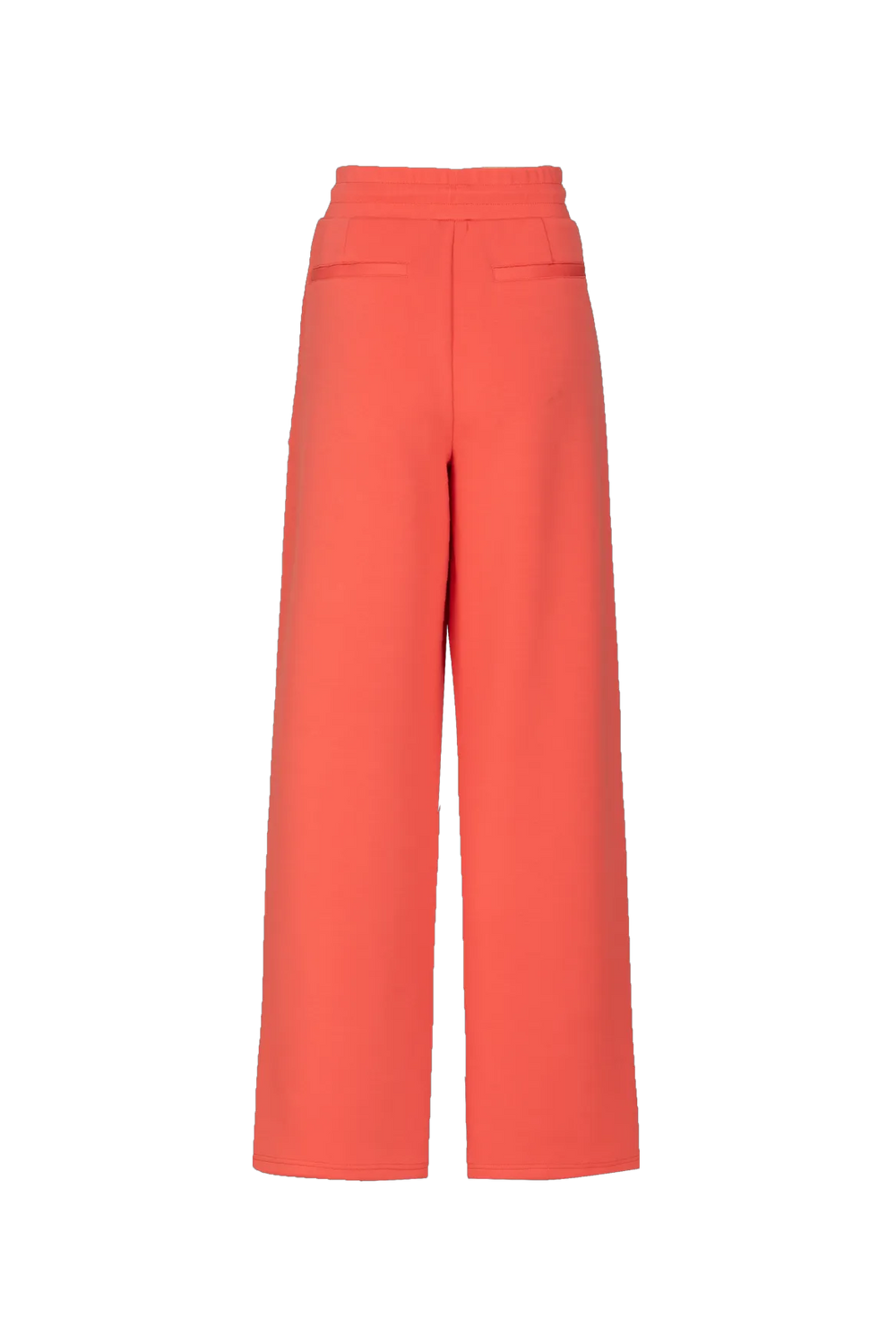 Bright Coral