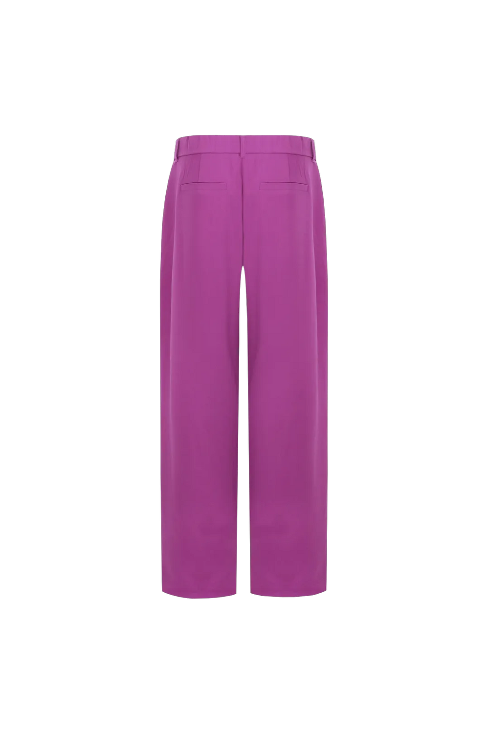 Warm Purple