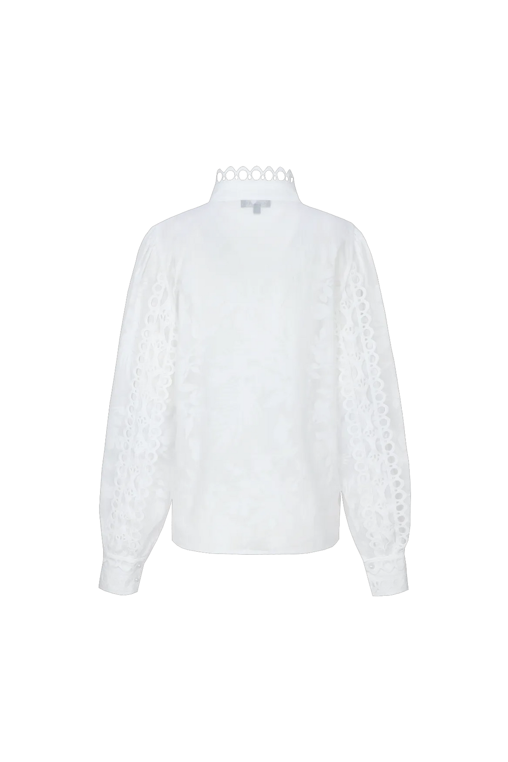 Offwhite