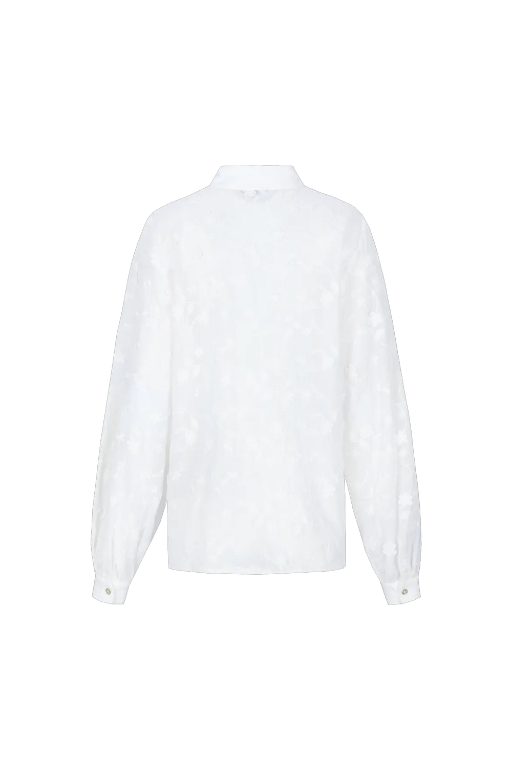 Offwhite
