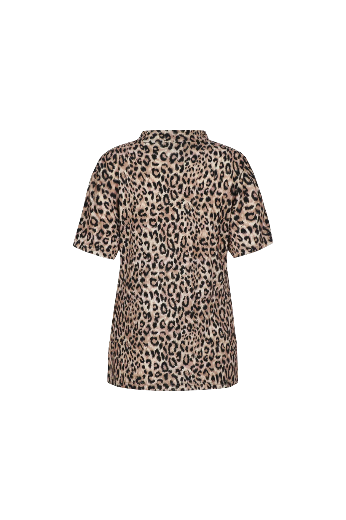 Sahara/Black
