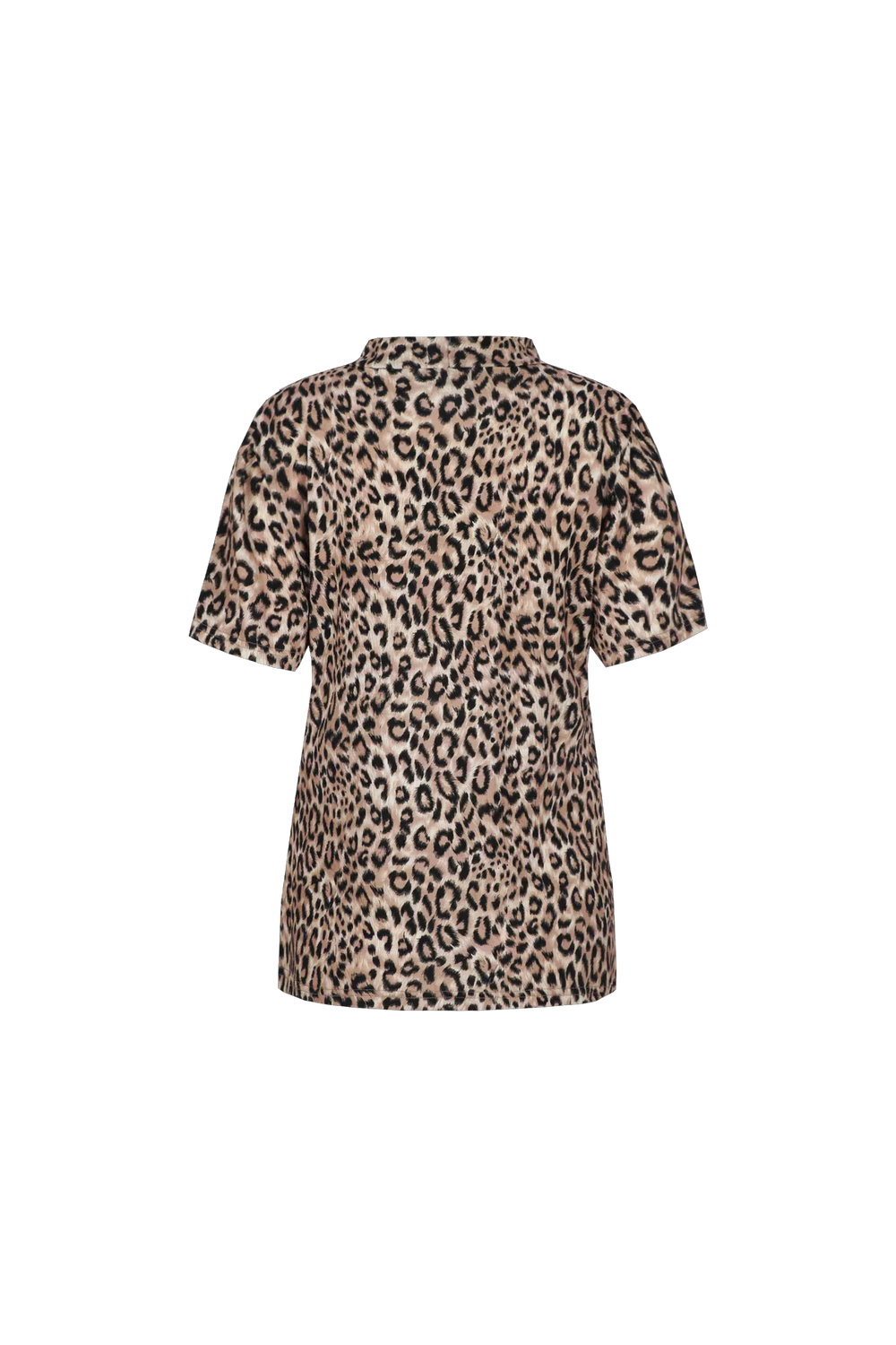 Sahara/Black