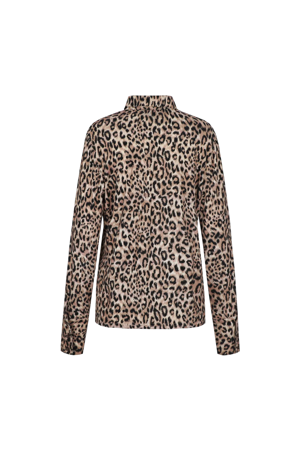 Sahara/Black