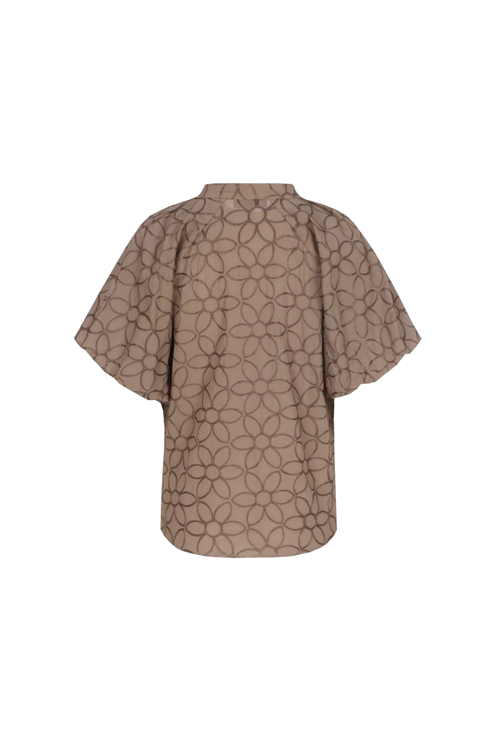 Sahara